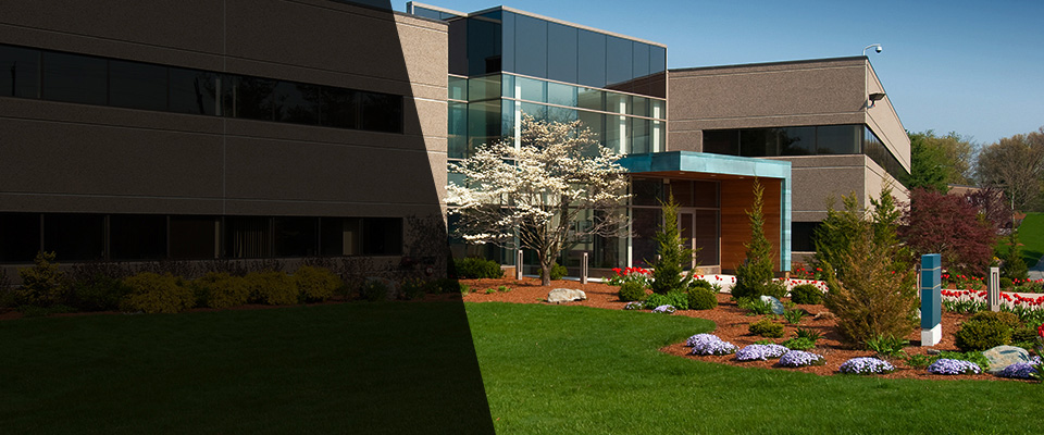 Bellows Falls Landscapers