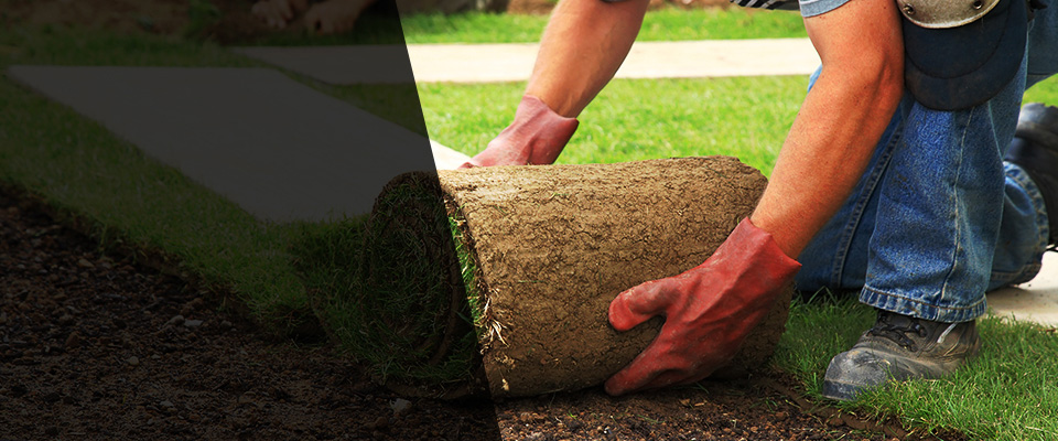 Bellows Falls Landscapers